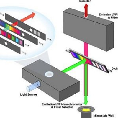 酶標儀使用光柵和濾光片的區別比較